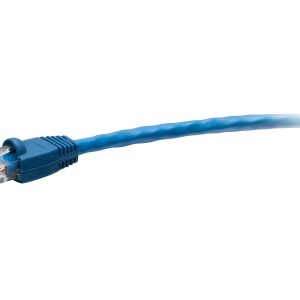 blue Cat5e RJ45 patch cable — representative photo; capacity and configuration may vary